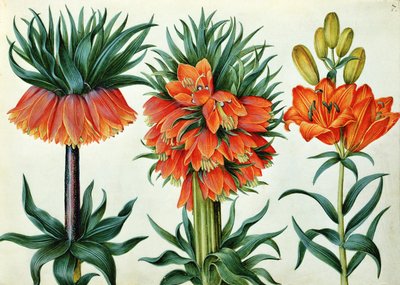 Kaiserkrone von Alexander Marshal